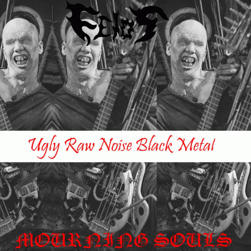 Feios : Ugly Raw Noise Black Metal